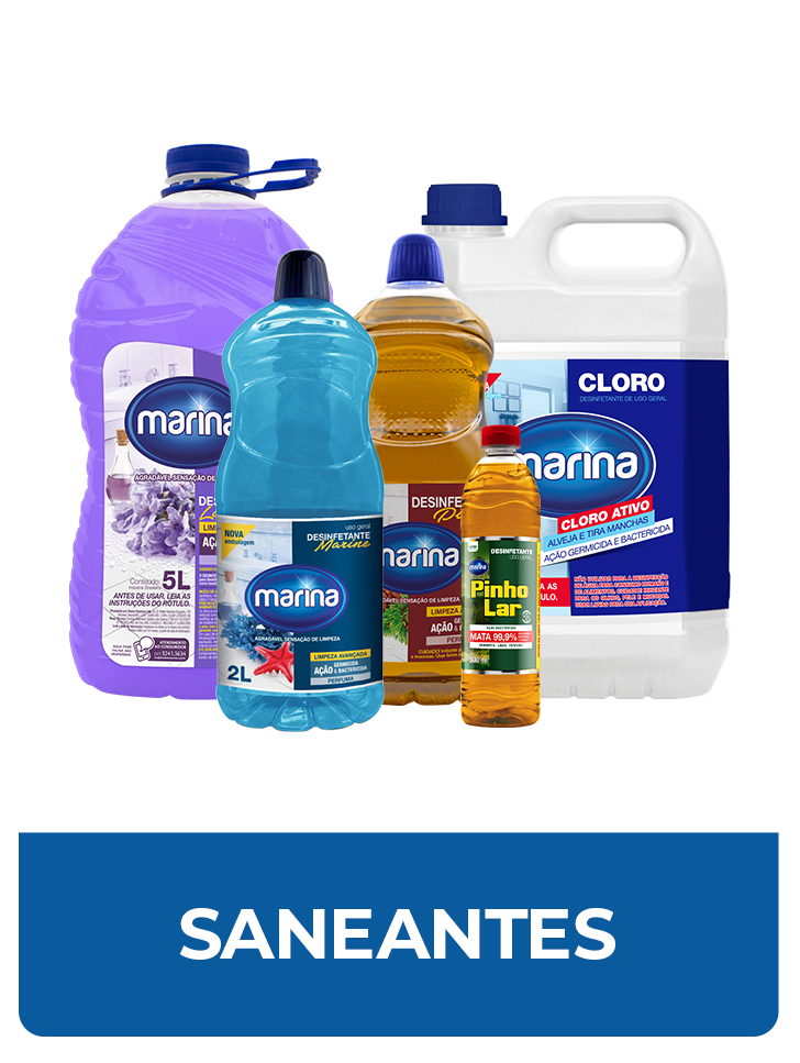 1 SANEANTES
